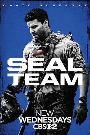 SEAL Team poszter