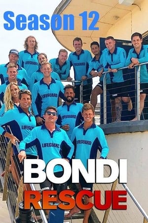 Bondi Rescue 12. évad (2017-01-29) poszter