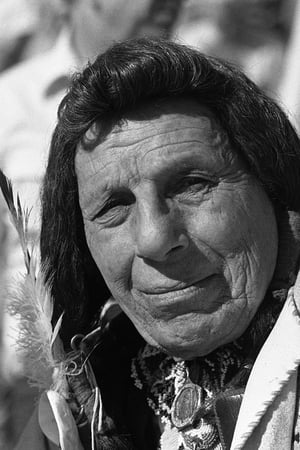 Iron Eyes Cody profil kép