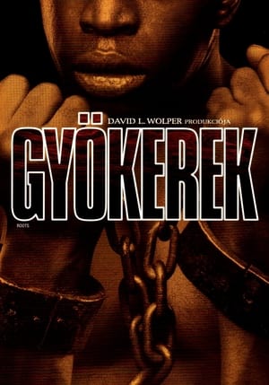 Gyökerek