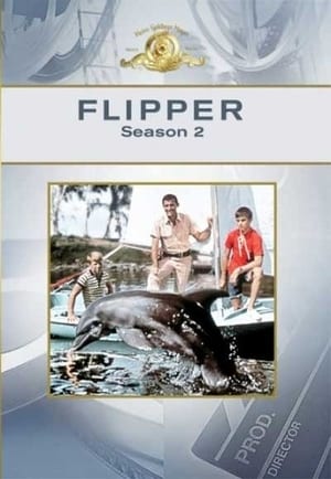 Flipper 2. évad (1996-10-05) poszter