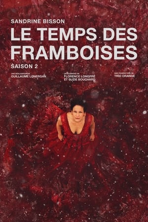 Le temps des framboises 2. évad (2024-04-04) poszter