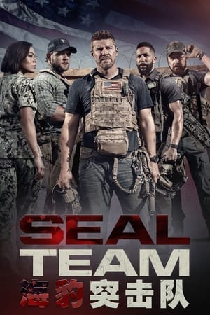 SEAL Team poszter