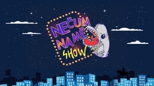 NEČUM NA MĚ SHOW kép