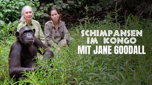 Rescued Chimpanzees of the Congo with Jane Goodall kép