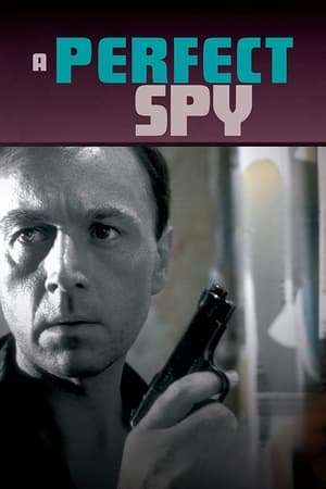 A Perfect Spy poszter