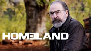 Homeland: A belső ellenség kép