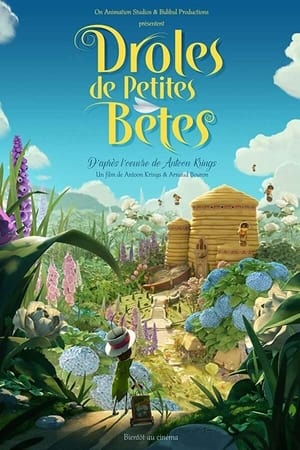 Apollon le grillon et les drôles de petites bêtes 1. évad (2019-06-08) poszter