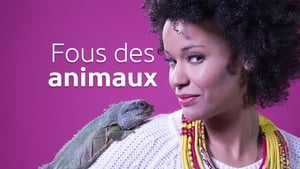 Fous des animaux kép