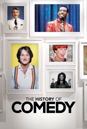 The History of Comedy poszter