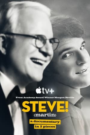 STEVE! (martin) dokumentumfilm 2 részben poszter