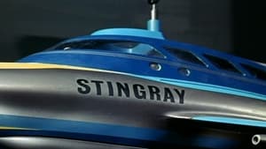 Stingray kép