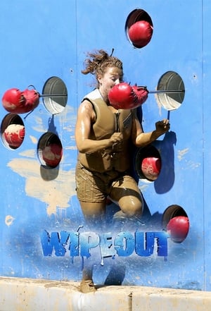 Wipeout poszter