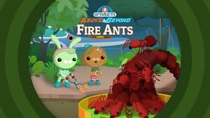 Octonauts: Above & Beyond 1. évad Ep.22 22. epizód