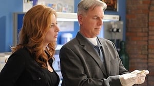 NCIS 7. évad Ep.18 Hatáskör