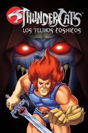 ThunderCats poszter