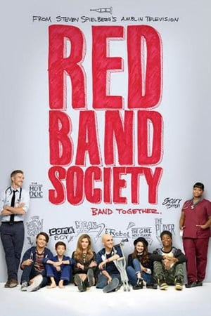 Red Band Society 1. évad (2014-09-17) poszter