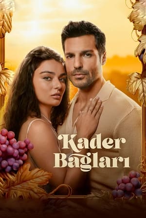 Kader Bağları poszter