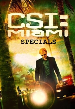 CSI: Miami-helyszínelők Speciális epizódok (2004-06-29) poszter