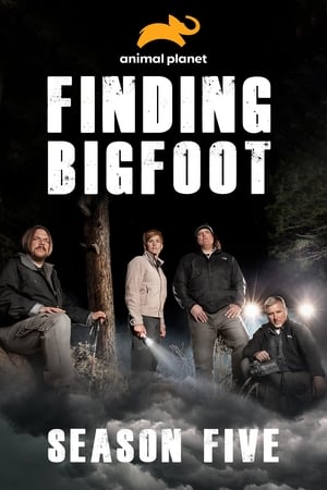 Finding Bigfoot 5. évad (2014-06-08) poszter