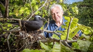 David Attenborough: A Nagy-korallzátony kép