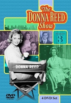 The Donna Reed Show 3. évad (1960-09-15) poszter