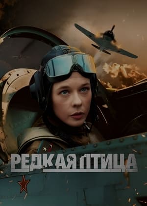 Редкая птица