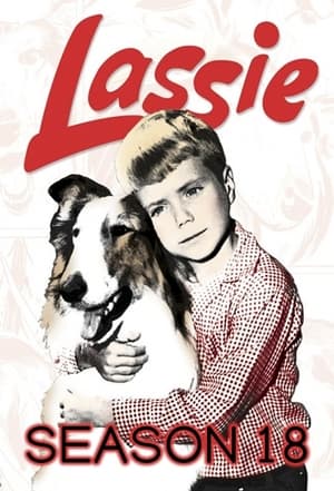 Lassie 18. évad (1971-10-07) poszter