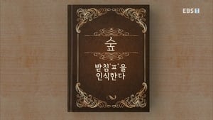 한글용사 아이야 1. évad Ep.33 33. epizód