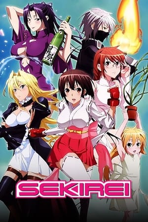 Sekirei poszter