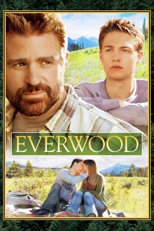 Everwood 2. évad (2003-09-15) poszter