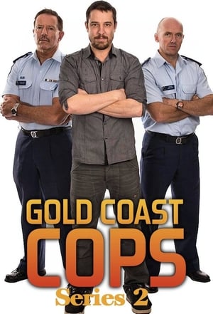 Gold Coast Cops 2. évad (2015-03-17) poszter