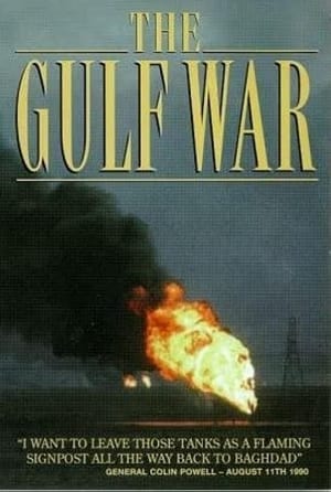 The Gulf War