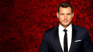 The Bachelor kép