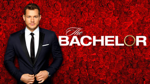 The Bachelor kép