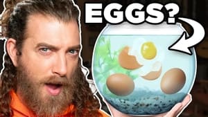 Good Mythical Morning 24. évad Ep.27 27. epizód