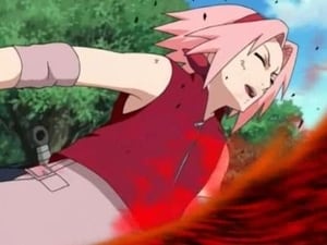 Naruto Shippuden 2. évad Ep.43 43. rész - Sakura könnyei