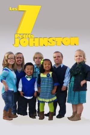 7 Little Johnstons poszter