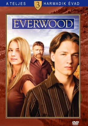 Everwood 3. évad (2004-09-13) poszter