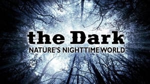 The Dark: Nature's Nighttime World kép