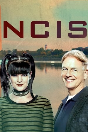 NCIS poszter