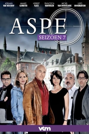 Aspe 7. évad (2011-08-29) poszter