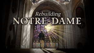 Rebuilding Notre-Dame kép