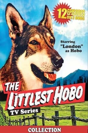 The Littlest Hobo poszter