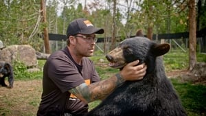 Un zoo pas comme les autres kép