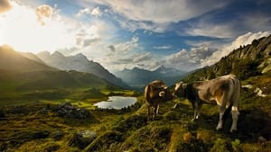 La Suisse sauvage kép