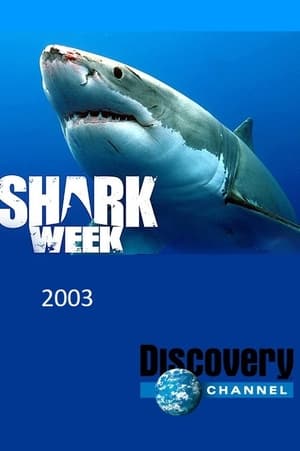 Shark Week 16. évad (2003-07-13) poszter