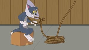 A Tom és Jerry-show 2. évad Ep.63 63. epizód