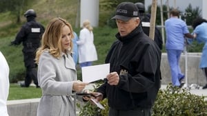 NCIS 16. évad Ep.19 Örökzöld