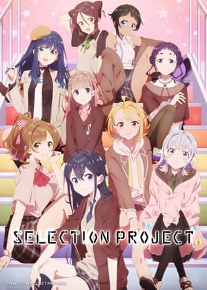 SELECTION PROJECT poszter